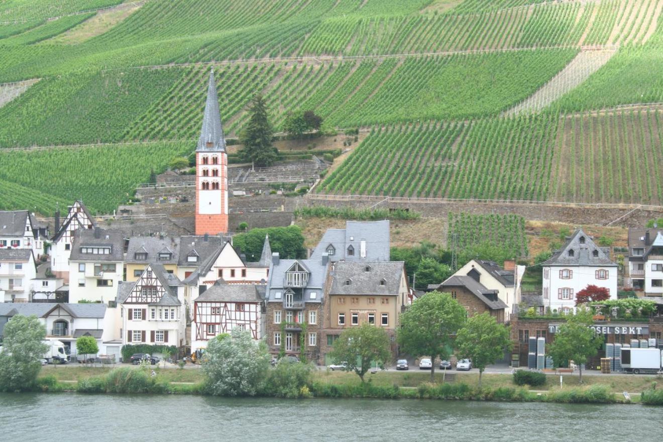 Ferienhaus Moselmerle Zell an der Mosel Luaran gambar